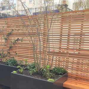 wood panel trellis Slatted Batten Trellis and Fence Panel (15mm Gaps, Face Fixed)