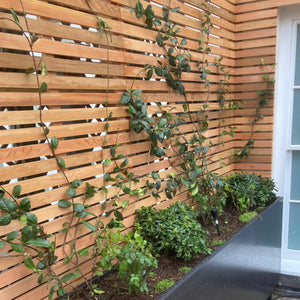 slatted wood trellis Slatted Batten Trellis and Fence Panel (15mm Gaps, Face Fixed)